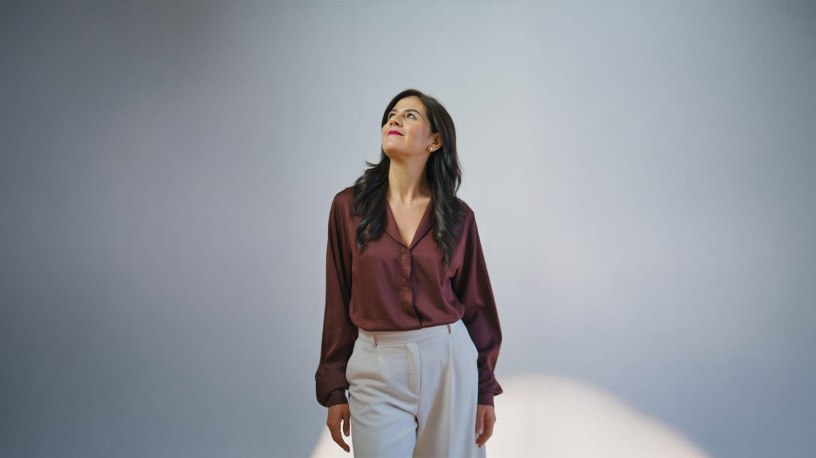 Descripción de la Imagen 2